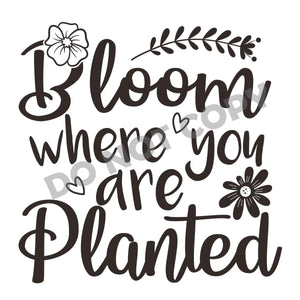 Bloom Where You Are Planted -DTF Transfer - DTF PROMO