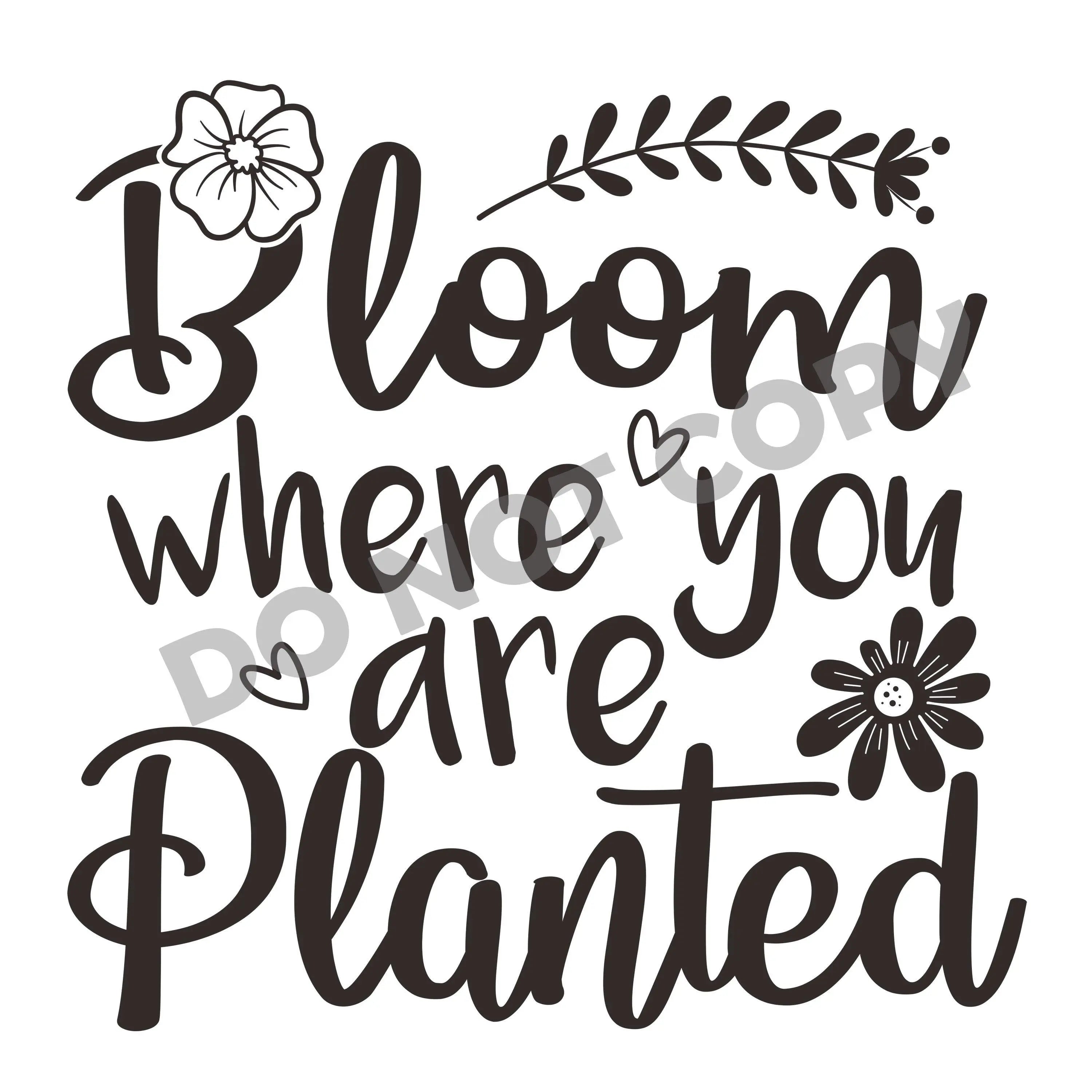 Bloom Where You Are Planted -DTF Transfer - DTF PROMO